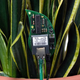 Image for article titled Now Even Thirsty Houseplants Demand Attention With DIY Twitter Kit